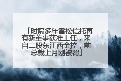 时隔多年雪松信托再有新董事获准上任，来自二股东江西金控，前总裁上月刚被罚