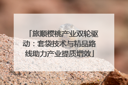 旅顺樱桃产业双轮驱动：套袋技术与精品路线助力产业提质增效