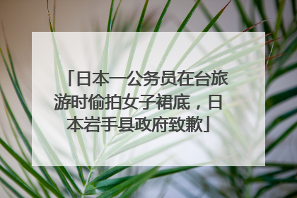 日本一公务员在台旅游时偷拍女子裙底，日本岩手县政府致歉