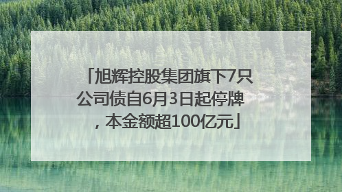 旭辉控股集团旗下7只公司债自6月3日起停牌，本金额超100亿元