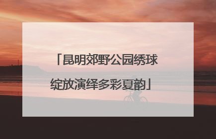 昆明郊野公园绣球绽放演绎多彩夏韵