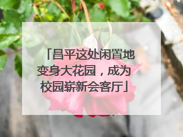昌平这处闲置地变身大花园，成为校园崭新会客厅