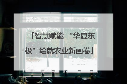 智慧赋能 “华夏东极”绘就农业新画卷