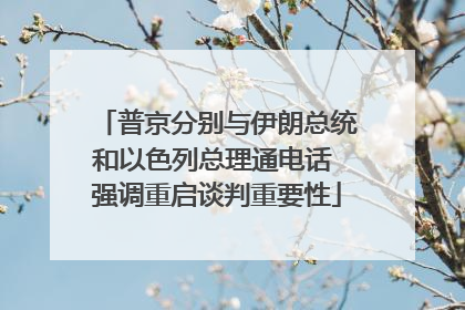 普京分别与伊朗总统和以色列总理通电话 强调重启谈判重要性