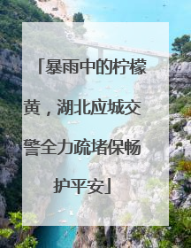 暴雨中的柠檬黄，湖北应城交警全力疏堵保畅护平安