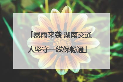 暴雨来袭 湖南交通人坚守一线保畅通