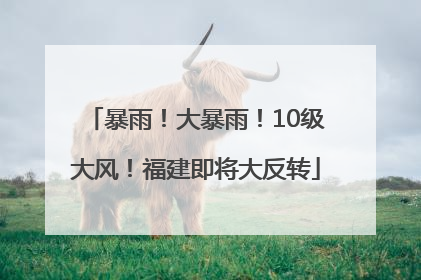暴雨！大暴雨！10级大风！福建即将大反转