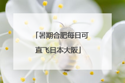 暑期合肥每日可直飞日本大阪