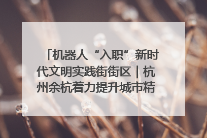 机器人“入职”新时代文明实践街街区｜杭州余杭着力提升城市精细化智能化管理水平