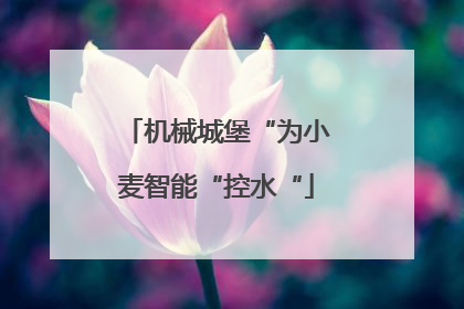 机械城堡“为小麦智能“控水“