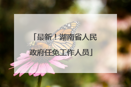 最新！湖南省人民政府任免工作人员
