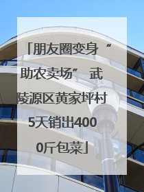 朋友圈变身“助农卖场” 武陵源区黄家坪村5天销出4000斤包菜