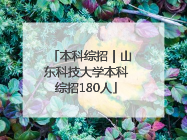本科综招｜山东科技大学本科综招180人