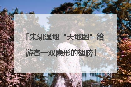 朱湖湿地“天地图”给游客一双隐形的翅膀