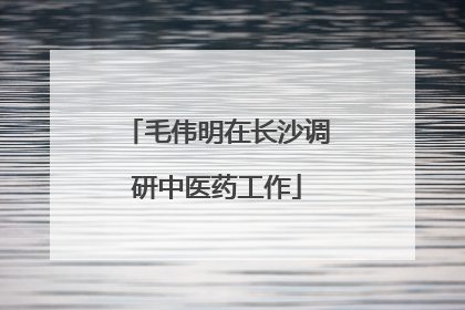 毛伟明在长沙调研中医药工作
