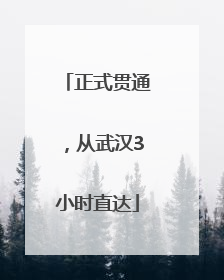 正式贯通，从武汉3小时直达