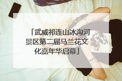 武威祁连山冰沟河景区第二届马兰花文化嘉年华启幕