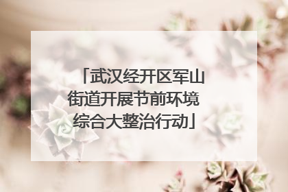 武汉经开区军山街道开展节前环境综合大整治行动