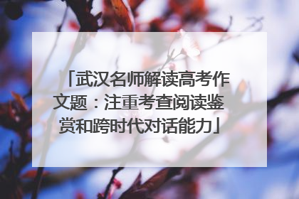 武汉名师解读高考作文题：注重考查阅读鉴赏和跨时代对话能力