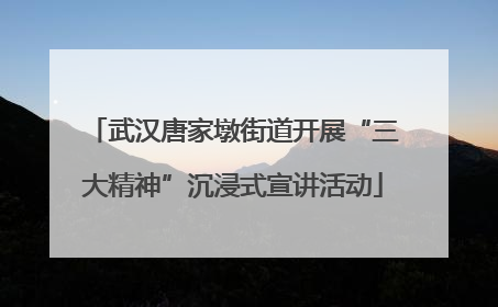 武汉唐家墩街道开展“三大精神”沉浸式宣讲活动