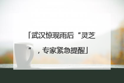 武汉惊现雨后“灵芝”，专家紧急提醒