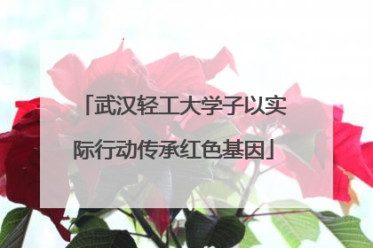 武汉轻工大学子以实际行动传承红色基因