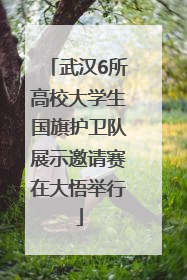 武汉6所高校大学生国旗护卫队展示邀请赛在大悟举行