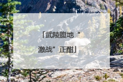 武陵腹地“激战”正酣