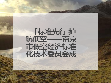 标准先行 护航低空——南京市低空经济标准化技术委员会成立大会召开