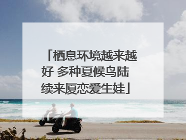 栖息环境越来越好 多种夏候鸟陆续来厦恋爱生娃
