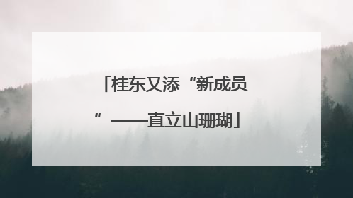 桂东又添“新成员”——直立山珊瑚