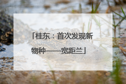 桂东：首次发现新物种——宽距兰