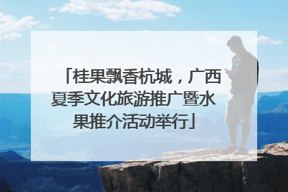 桂果飘香杭城，广西夏季文化旅游推广暨水果推介活动举行