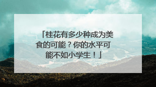 桂花有多少种成为美食的可能？你的水平可能不如小学生！