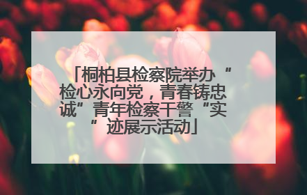 桐柏县检察院举办“检心永向党，青春铸忠诚”青年检察干警“实”迹展示活动