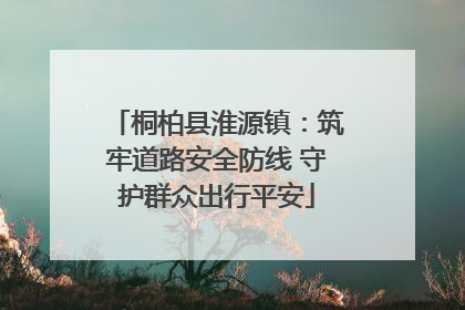桐柏县淮源镇：筑牢道路安全防线 守护群众出行平安