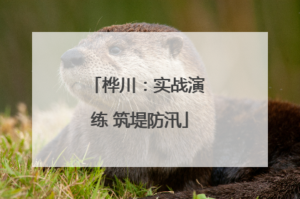 桦川：实战演练 筑堤防汛