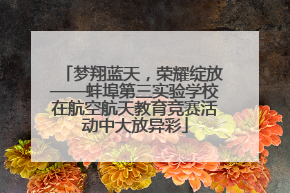 梦翔蓝天，荣耀绽放——蚌埠第三实验学校在航空航天教育竞赛活动中大放异彩