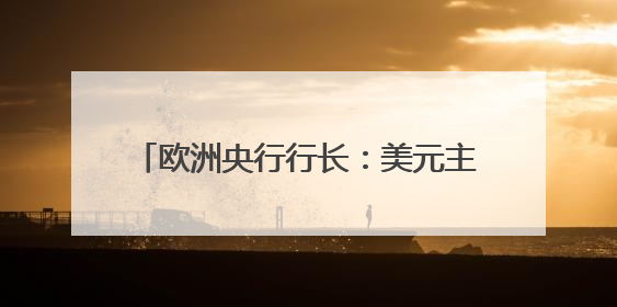 欧洲央行行长：美元主导地位正在变得不确定