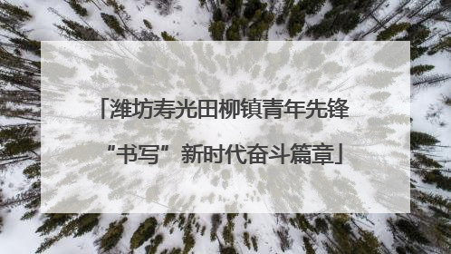 潍坊寿光田柳镇青年先锋“书写”新时代奋斗篇章