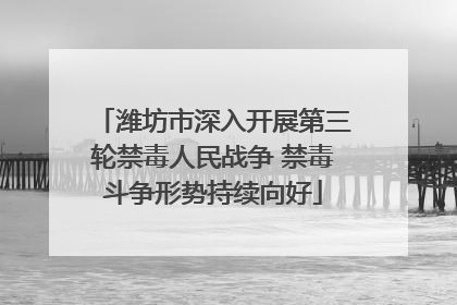 潍坊市深入开展第三轮禁毒人民战争 禁毒斗争形势持续向好