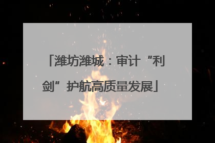 潍坊潍城：审计“利剑”护航高质量发展