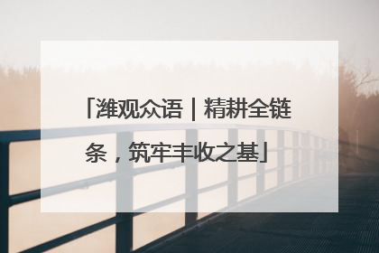 潍观众语｜精耕全链条，筑牢丰收之基