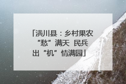 潢川县：乡村果农“愁”满天  民兵出“机”情满园
