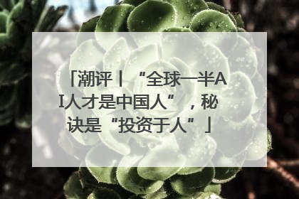 潮评丨“全球一半AI人才是中国人”，秘诀是“投资于人”