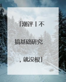 潮评丨不搞基础研究，就没根