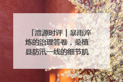 澧源时评｜暴雨淬炼的治理答卷，桑植县防汛一线的细节肌理与体系力量