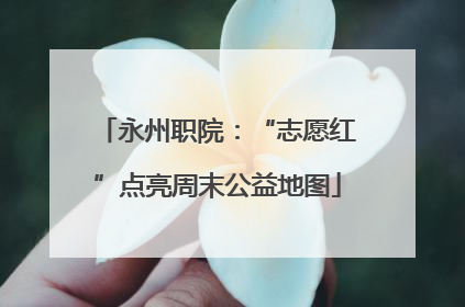 永州职院：“志愿红”点亮周末公益地图