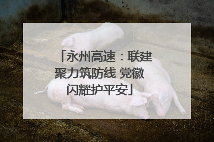 永州高速：联建聚力筑防线 党徽闪耀护平安