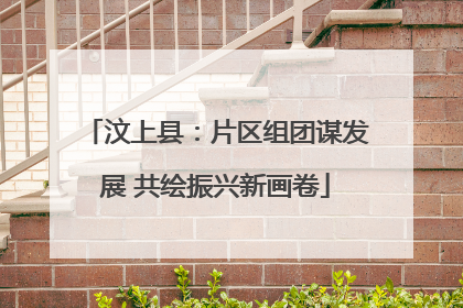 汶上县：片区组团谋发展 共绘振兴新画卷